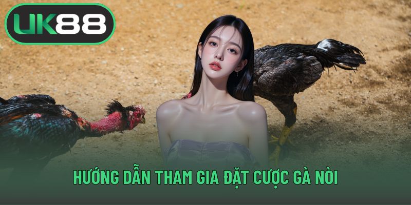 Hướng dẫn tham gia đặt cược gà nòi