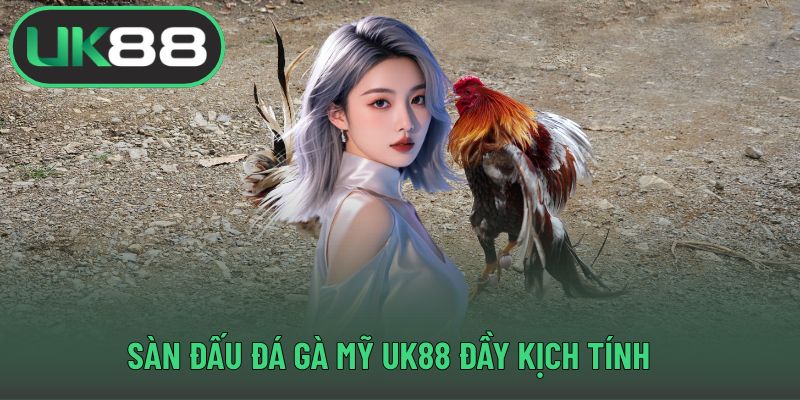 Sàn đấu đá gà Mỹ UK88 đầy kịch tính